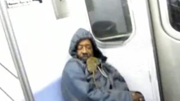 rat-on-subway