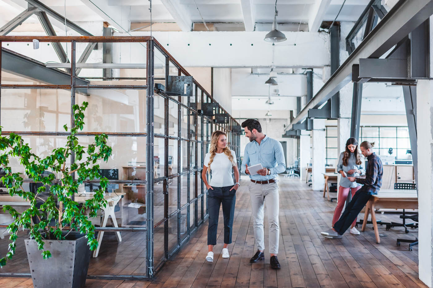 A group of employees working in a pest free office thanks to a Rest Easy commercial exterminator.