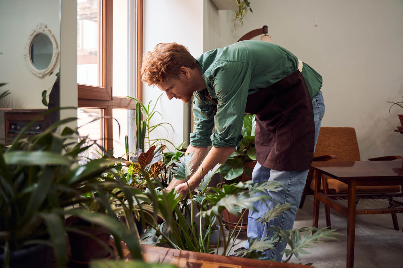 A person tending to their plants in a pest-free home - hire Rest Easy, a trusted roach exterminator in Suffolk County, NY, to restore your peace of mind.