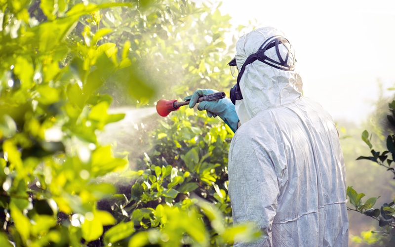 a professional providing effective and safe pesticide control outdoors.